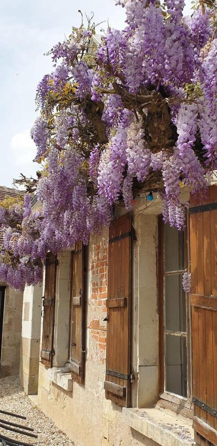 La Maison de Frédéric Villa Francueil Esterno foto